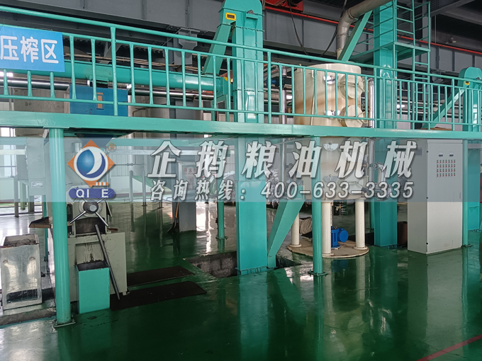 企鵝牌茶籽油雙螺桿榨油機，用心制造獲得客戶認可(圖3)