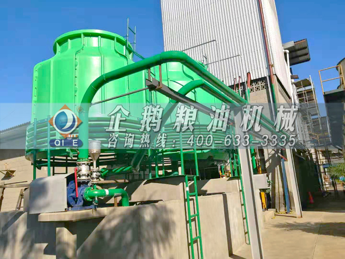 如何投資建設(shè)棕櫚油加工廠？企鵝糧油機(jī)械在線為您答疑解惑(圖3)